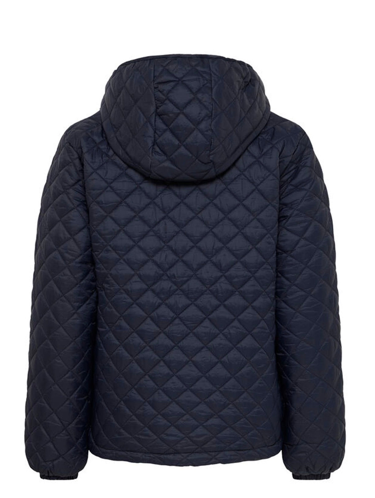 BERTA NAVY